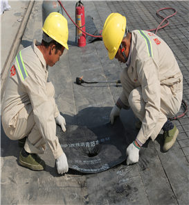 樓頂防水(shuǐ)補漏